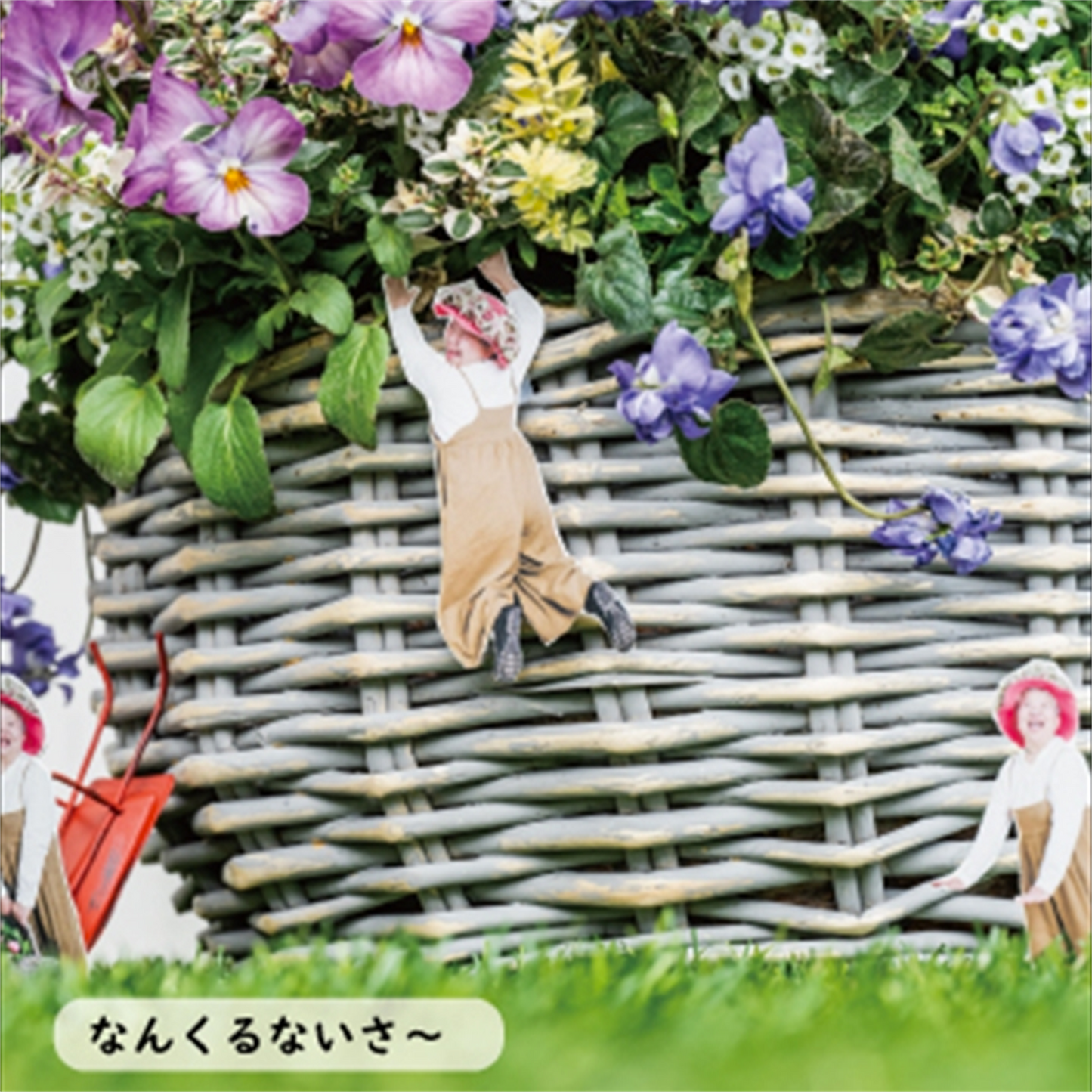 プランツギャザリング写真集オゼジュン先生いやしのことば週めくりカレンダーなんくるないさ~