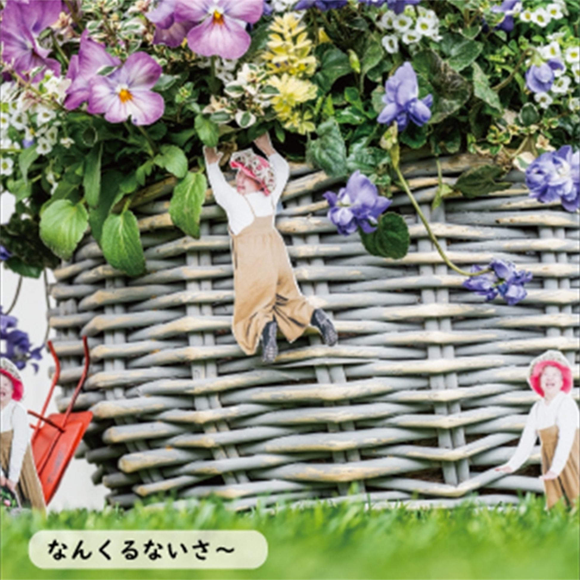 プランツギャザリング写真集オゼジュン先生いやしのことば週めくりカレンダーなんくるないさ~