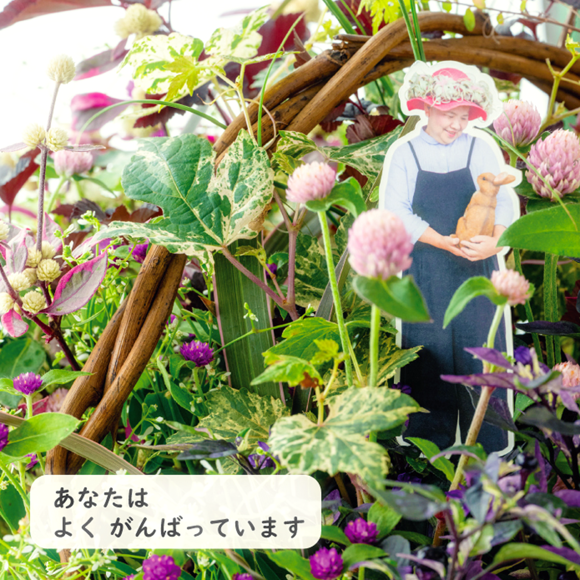 プランツギャザリング写真集オゼジュン先生いやしのことば週めくりカレンダーアなた花苗あよくがんばっています