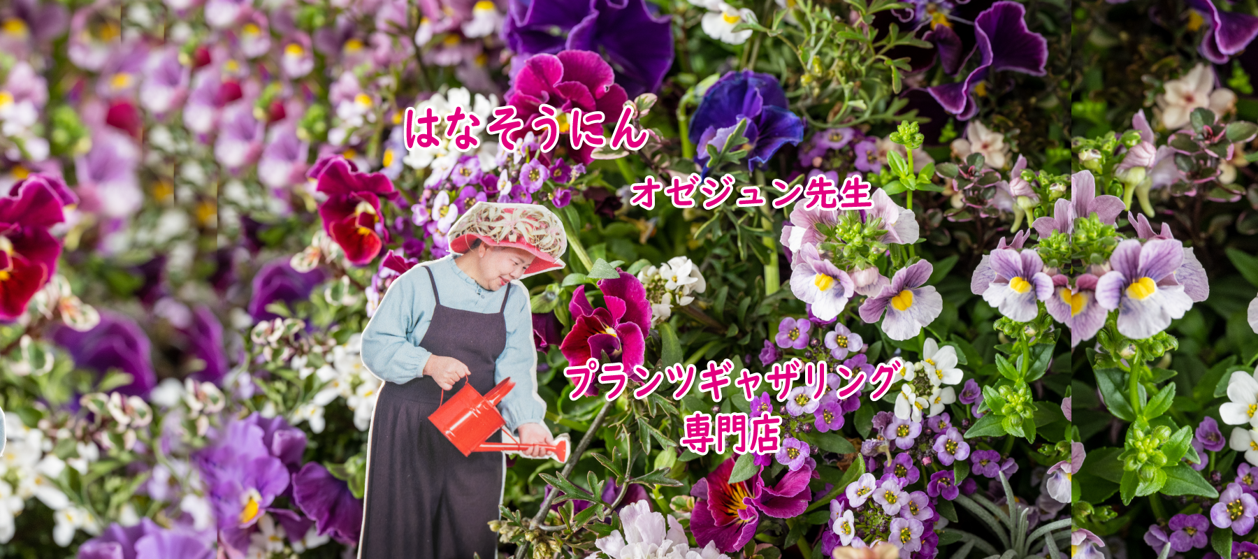 花創人(はなそうにん)オゼジュン先生のネットショップは、おしゃれな寄せ植えや園芸用品のプランツギャザリング専門のオンラインショップです。ガーデニングに人気の綱木紋の鉢・ギャザリング水苔(ギャザモス)・ラナンキュラスラックス・宿根草・ゴージャスな観葉植物・多肉植物(多肉ちゃん)等、大人かわいい上品な花苗は、バルコニー・ベランダ・フェンス・スロープ・玄関先アプローチ・ウッドデッキ・ラティスのプランター鉢植えはインスタ映えして推し。オーダーメイドのギャザリングは、開店祝い・歓送迎会・壮行会・退職祝い・還暦祝・喜寿・クリスマス・ハロウィン・母の日・結婚式・引っ越し新築祝い等のギフトやプレゼントにも人気でおすすめ。豪華でかわいい人気フラワーのプランツギャザリング(ギャザ植え・寄せ植えスタイル)で癒しのひとときを。希少な葉もの・人気のリーフ・レアなミニ花や草花の新品種も豊富な種類をお取り寄せできます。オシャレな花贈りもECサイトで予約販売受付中。 癒される季節のお花や草木・おしゃれなガーデンやバスケット植え・春夏秋冬萌える鉢花・バリエーションゆたかな花苗の寄せ植え作品の通販サイトなら尾関純子の花屋さん 花創人