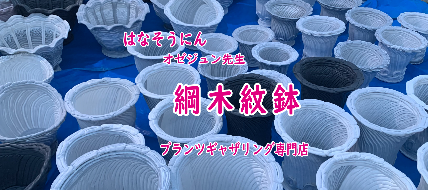 花創人(はなそうにん)オゼジュン先生のネットショップは、おしゃれな寄せ植えや園芸用品のプランツギャザリング専門のオンラインショップです。ガーデニングに人気の綱木紋の鉢・ギャザリング水苔(ギャザモス)・ラナンキュラスラックス・宿根草・ゴージャスな観葉植物・多肉植物(多肉ちゃん）等、大人かわいい上品な花苗は、バルコニー・ベランダ・フェンス・スロープ・玄関先アプローチ・ウッドデッキ・ラティスのプランター鉢植えはインスタ映えして推し。オーダーメイドのギャザリングは、開店祝い・歓送迎会・壮行会・退職祝い・還暦祝・喜寿・クリスマス・ハロウィン・母の日・結婚式・引っ越し新築祝い等のギフトやプレゼントにも人気でおすすめ。豪華でかわいい人気フラワーのプランツギャザリング(ギャザ植え・寄せ植えスタイル)で癒しのひとときを。希少な葉もの・人気のリーフ・レアなミニ花や草花の新品種も豊富な種類をお取り寄せできます。オシャレな花贈りもECサイトで予約販売受付中。 癒される季節のお花や草木・おしゃれなガーデンやバスケット植え・春夏秋冬萌える鉢花・バリエーションゆたかな花苗の寄せ植え作品の通販サイトなら尾関純子の花屋さん 花創人 