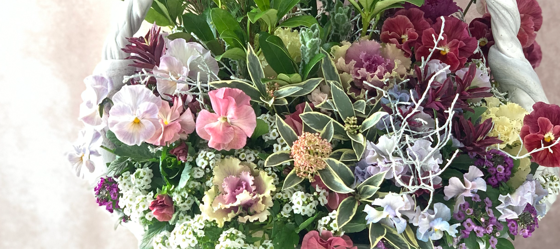 花創人(はなそうにん)オゼジュン先生のネットショップは、おしゃれな寄せ植えやプランツギャザリング専門のオンラインショップです。ガーデニングに人気の綱木紋の鉢・ギャザリング水苔(ギャザモス)・ゴージャスなラナンキュラスラックス・宿根草・観葉植物・多肉植物(多肉ちゃん)等、大人かわいい上品な花苗は、インスタ映えして推し。オーダーメイドのギャザリングは、開店祝い・歓送迎会・退職祝い・クリスマス・ハロウィン・母の日・結婚式・引っ越し新築祝い等のギフトやプレゼントにも人気でおすすめ。通販サイトなら尾関純子の花屋さん 花創人 豪華でかわいい人気フラワーのプランツギャザリング(ギャザ植え・寄せ植えスタイル)で癒しのひとときを。