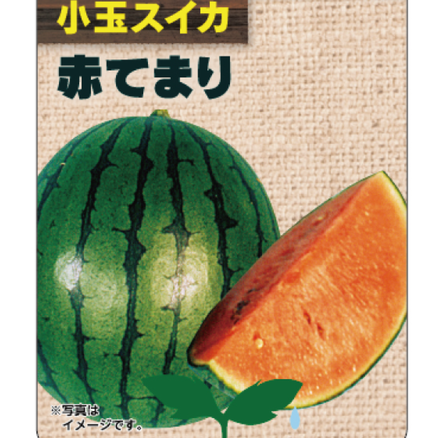 定番小玉すいか【赤てまり】