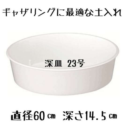プランツギャザⅮリング制作に最適な土入れ根崩しをしたり株を分けたりする左京に最適な直径60センチの深皿バケツを2個入れての作業も楽々
