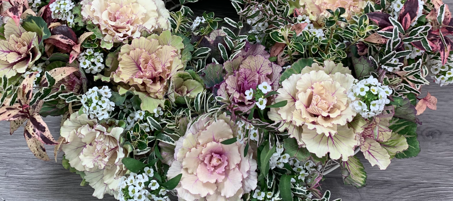 花創人(はなそうにん)オゼジュン先生のネットショップは、おしゃれな寄せ植えやプランツギャザリング専門のオンラインショップです。ガーデニングに人気の綱木紋の鉢・ギャザリング水苔(ギャザモス)・ゴージャスなラナンキュラスラックス・宿根草・観葉植物・多肉植物(多肉ちゃん)等、大人かわいい上品な花苗は、インスタ映えして推し。オーダーメイドのギャザリングは、開店祝い・歓送迎会・退職祝い・クリスマス・ハロウィン・母の日・結婚式・引っ越し新築祝い等のギフトやプレゼントにも人気でおすすめ。通販サイトなら尾関純子の花屋さん 花創人 豪華でかわいい人気フラワーのプランツギャザリング(ギャザ植え・寄せ植えスタイル)で癒しのひとときを。