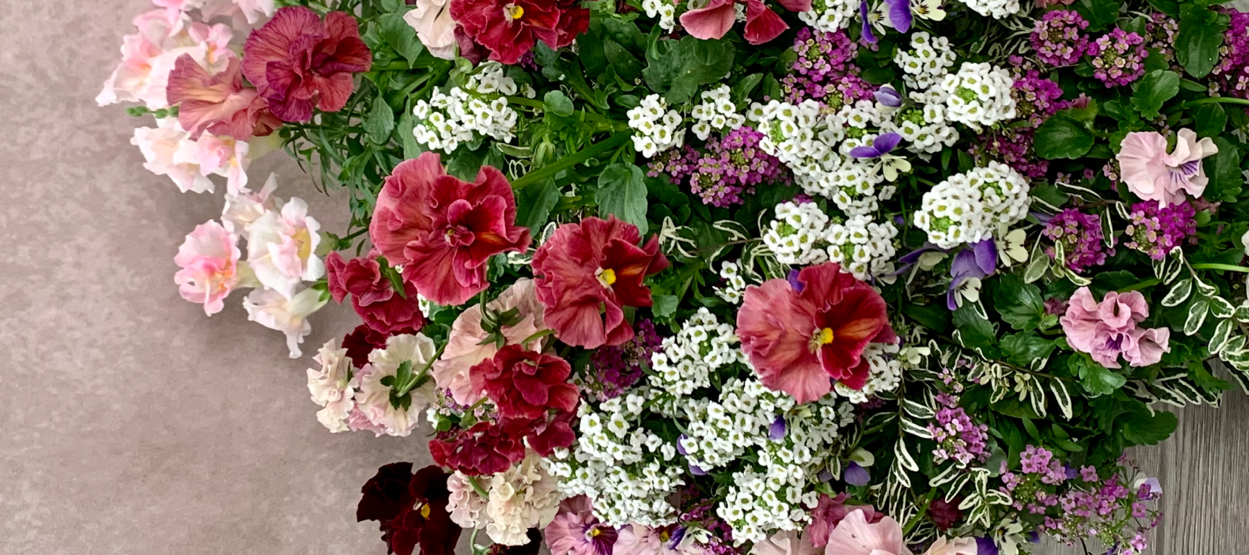 花創人(はなそうにん)オゼジュン先生のネットショップは、おしゃれな寄せ植えやプランツギャザリング専門のオンラインショップです。ガーデニングに人気の綱木紋の鉢・ギャザリング水苔(ギャザモス)・ゴージャスなラナンキュラスラックス・宿根草・観葉植物・多肉植物(多肉ちゃん)等、大人かわいい上品な花苗は、インスタ映えして推し。オーダーメイドのギャザリングは、開店祝い・歓送迎会・退職祝い・クリスマス・ハロウィン・母の日・結婚式・引っ越し新築祝い等のギフトやプレゼントにも人気でおすすめ。通販サイトなら尾関純子の花屋さん 花創人 豪華でかわいい人気フラワーのプランツギャザリング(ギャザ植え・寄せ植えスタイル)で癒しのひとときを。