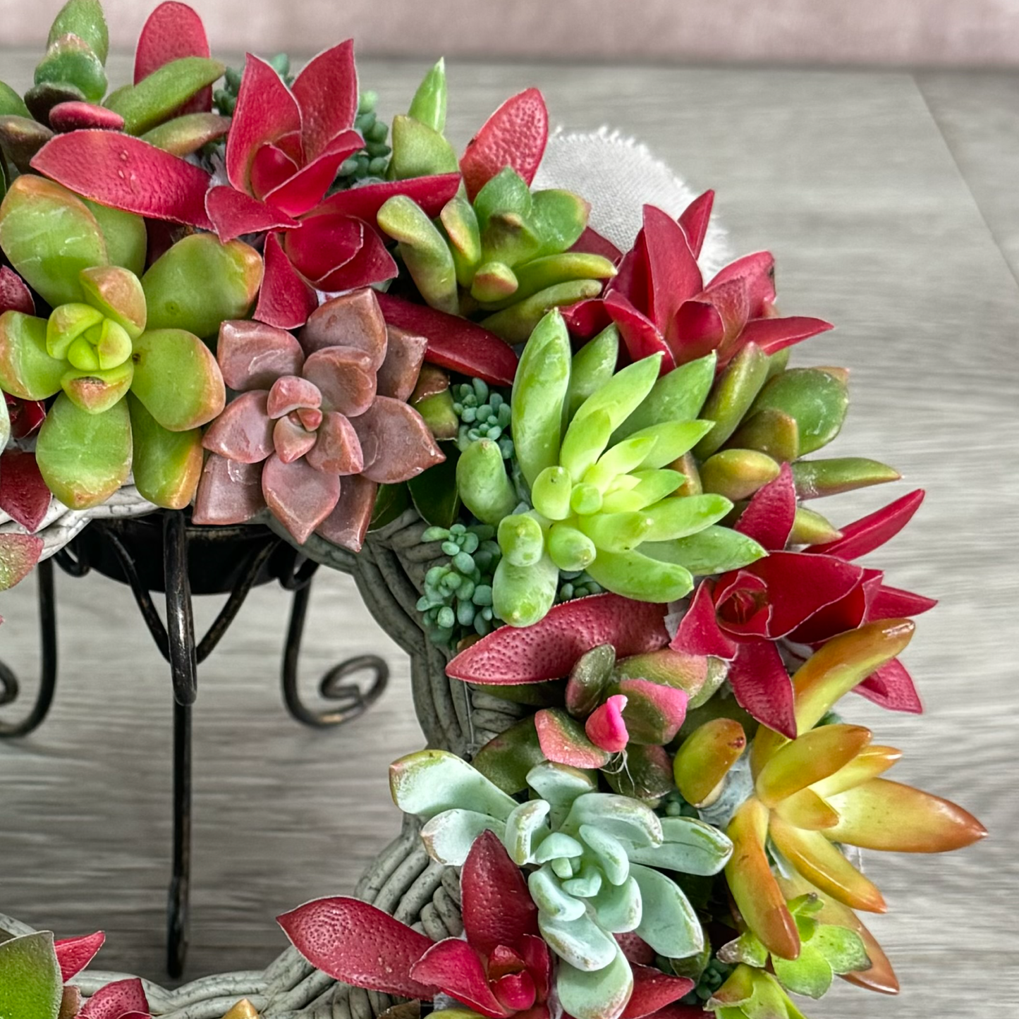 【リース】真っ赤な紅葉まつりのカラフルリース プランツギャザリング