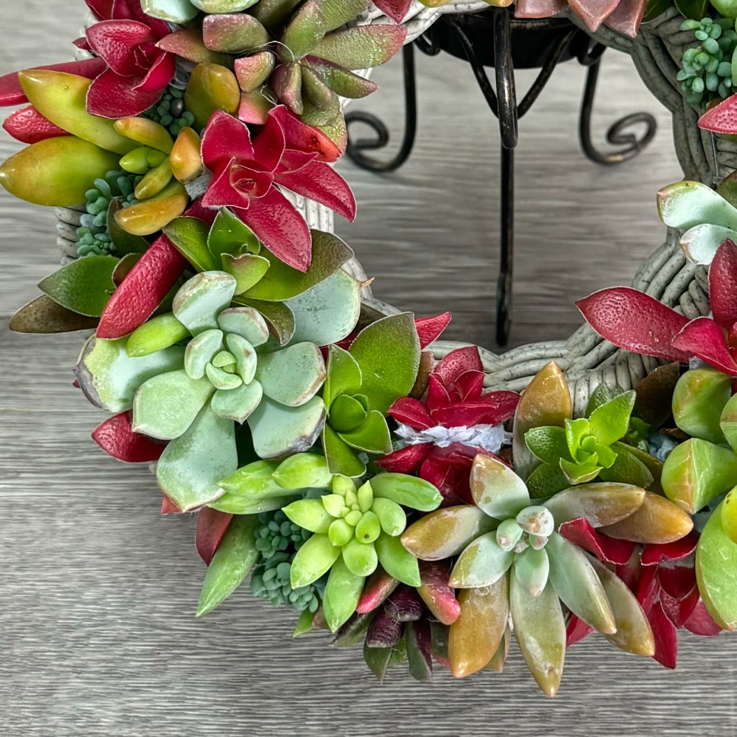 【リース】真っ赤な紅葉まつりのカラフルリース プランツギャザリング