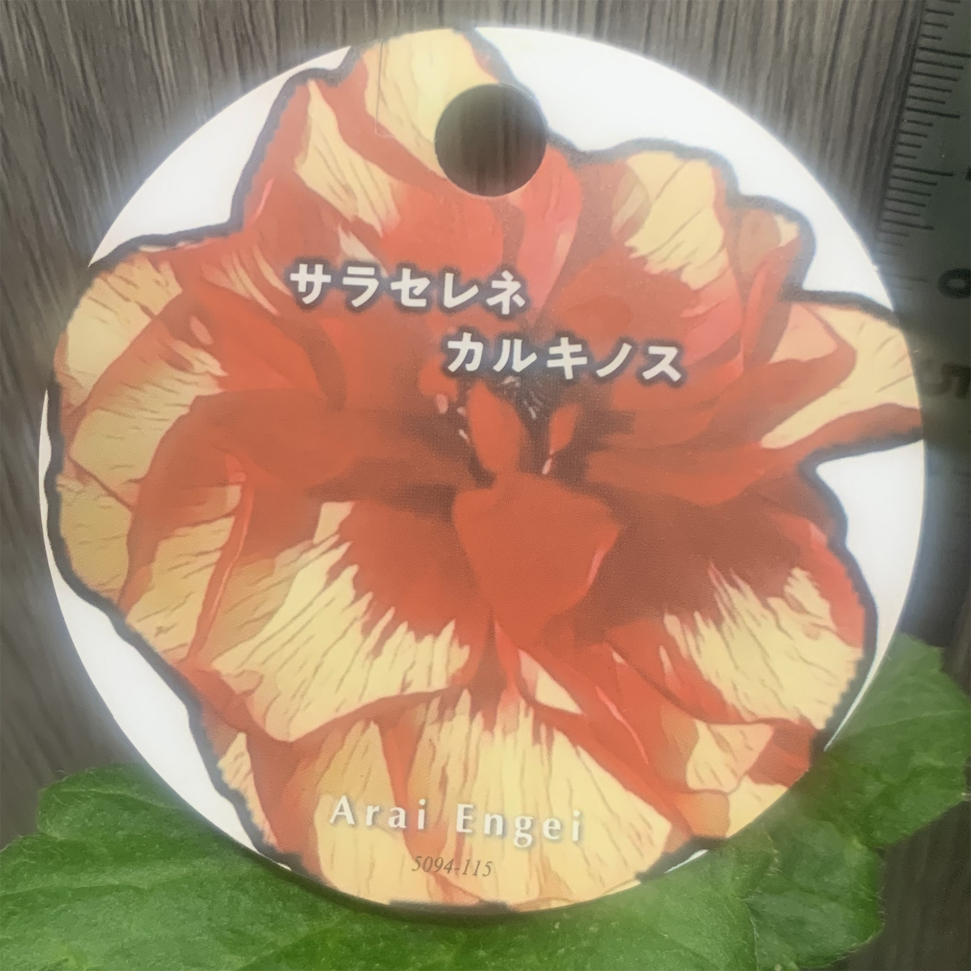 花創人(はなそうにん)オゼジュン先生のネットショップは、おしゃれな寄せ植えや園芸用品のプランツギャザリング専門のオンラインショップです。ガーデニングに人気の綱木紋の鉢・ギャザリング水苔・ラナンキュラスラックス・宿根草・ゴーシャスな観葉植物・多肉植物(多肉ちゃん)等、大人かわいい上品な花苗は、バルコニー・ベランダ・フェンス・スロープ・玄関先アプローチ・ウッドデッキ・ラティスのプランター鉢植えはインスタ映えして推し。オーダーメイドのギャザリングは、開店祝い・歓送迎会・壮行会・退職祝い・還暦祝・喜寿・クリスマス・母の日・結婚式・新築祝い等のギフトやプレゼントにも人気でおすすめ。豪華でかわいい人気フラワーのプランツギャザリング(ギャザ植え・寄せ植えスタイル)で癒しのひとときを。希少な葉もの・人気のリーフ・レアなミニ花の新品種も豊富な種類をお取り寄せできます。オシャレな花贈りもECサイトで予約販売受付中。 癒される季節のお花や草木・おしゃれなガーデニングやバスケット植え・春夏秋冬萌える鉢花・バリエーションゆたかな花苗の寄せ植えのネット通販なら尾関純子の花屋さん 花創人(はなそうにん)におまかせ!