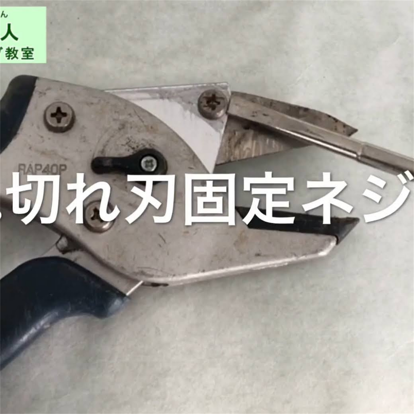 楽なんです剪定替え刃は、切れ味が鈍ってきた際にネジひとつで簡単に交換でき、常に鋭い切れ味を維持できる替刃です。「楽なんです剪定」は、ガーデニングを愛する方々におすすめの高品質な剪定鋏で、特に剪定作業を楽にしたい方にぴったりの園芸用品です。アンビル式の刃構造を採用しており、太い枝でもスムーズに切ることができ、スプリング(ばね)によって軽い力で作業ができるため、手首や指への負担が少なく腱鞘炎の予防にもなります。剪定の際には、左利きの方でも使いやすいようにデザインされ、どんな手の形にもフィットし快適に使用可能です。楽なんです剪定替え刃は、切れ味が悪くなった際に簡単に交換できるため、常に快適な剪定作業をサポートします。また、薔薇(バラ)や宿根草、果樹、コニファーなどさまざまな植物の剪定に対応し、オシャレな庭作りや寄せ植えの手入れもスムーズに行えます。玉鳥産業みきかじや村で製造されたこの替刃は、精度の高い刃物として知られ、オンラインショップやネット通販でも購入可能で、口コミでも高評価を得ている人気の売れ筋商品です。秋から冬にかけての剪定作業や、春夏の庭仕事にも便利な楽なんです剪定替刃で、快適なガーデニングを楽しんで!