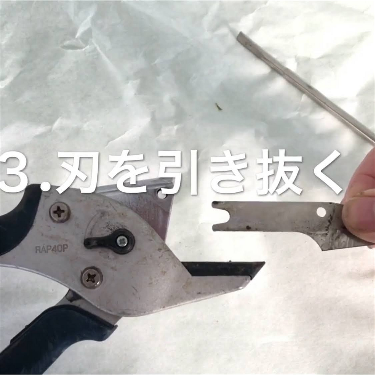 楽なんです剪定替え刃は、切れ味が鈍ってきた際にネジひとつで簡単に交換でき、常に鋭い切れ味を維持できる替刃です。「楽なんです剪定」は、ガーデニングを愛する方々におすすめの高品質な剪定鋏で、特に剪定作業を楽にしたい方にぴったりの園芸用品です。アンビル式の刃構造を採用しており、太い枝でもスムーズに切ることができ、スプリング(ばね)によって軽い力で作業ができるため、手首や指への負担が少なく腱鞘炎の予防にもなります。剪定の際には、左利きの方でも使いやすいようにデザインされ、どんな手の形にもフィットし快適に使用可能です。楽なんです剪定替え刃は、切れ味が悪くなった際に簡単に交換できるため、常に快適な剪定作業をサポートします。また、薔薇(バラ)や宿根草、果樹、コニファーなどさまざまな植物の剪定に対応し、オシャレな庭作りや寄せ植えの手入れもスムーズに行えます。玉鳥産業みきかじや村で製造されたこの替刃は、精度の高い刃物として知られ、オンラインショップやネット通販でも購入可能で、口コミでも高評価を得ている人気の売れ筋商品です。秋から冬にかけての剪定作業や、春夏の庭仕事にも便利な楽なんです剪定替刃で、快適なガーデニングを楽しんで!