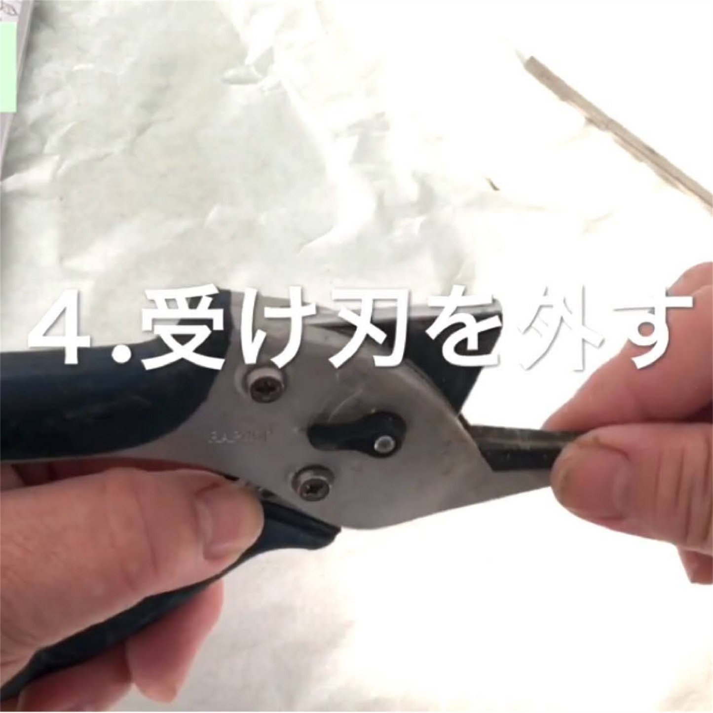 楽なんです剪定替え刃は、切れ味が鈍ってきた際にネジひとつで簡単に交換でき、常に鋭い切れ味を維持できる替刃です。「楽なんです剪定」は、ガーデニングを愛する方々におすすめの高品質な剪定鋏で、特に剪定作業を楽にしたい方にぴったりの園芸用品です。アンビル式の刃構造を採用しており、太い枝でもスムーズに切ることができ、スプリング(ばね)によって軽い力で作業ができるため、手首や指への負担が少なく腱鞘炎の予防にもなります。剪定の際には、左利きの方でも使いやすいようにデザインされ、どんな手の形にもフィットし快適に使用可能です。楽なんです剪定替え刃は、切れ味が悪くなった際に簡単に交換できるため、常に快適な剪定作業をサポートします。また、薔薇(バラ)や宿根草、果樹、コニファーなどさまざまな植物の剪定に対応し、オシャレな庭作りや寄せ植えの手入れもスムーズに行えます。玉鳥産業みきかじや村で製造されたこの替刃は、精度の高い刃物として知られ、オンラインショップやネット通販でも購入可能で、口コミでも高評価を得ている人気の売れ筋商品です。秋から冬にかけての剪定作業や、春夏の庭仕事にも便利な楽なんです剪定替刃で、快適なガーデニングを楽しんで!