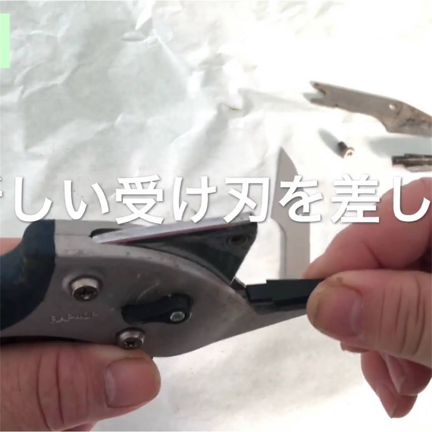 楽なんです剪定替え刃は、切れ味が鈍ってきた際にネジひとつで簡単に交換でき、常に鋭い切れ味を維持できる替刃です。「楽なんです剪定」は、ガーデニングを愛する方々におすすめの高品質な剪定鋏で、特に剪定作業を楽にしたい方にぴったりの園芸用品です。アンビル式の刃構造を採用しており、太い枝でもスムーズに切ることができ、スプリング(ばね)によって軽い力で作業ができるため、手首や指への負担が少なく腱鞘炎の予防にもなります。剪定の際には、左利きの方でも使いやすいようにデザインされ、どんな手の形にもフィットし快適に使用可能です。楽なんです剪定替え刃は、切れ味が悪くなった際に簡単に交換できるため、常に快適な剪定作業をサポートします。また、薔薇(バラ)や宿根草、果樹、コニファーなどさまざまな植物の剪定に対応し、オシャレな庭作りや寄せ植えの手入れもスムーズに行えます。玉鳥産業みきかじや村で製造されたこの替刃は、精度の高い刃物として知られ、オンラインショップやネット通販でも購入可能で、口コミでも高評価を得ている人気の売れ筋商品です。秋から冬にかけての剪定作業や、春夏の庭仕事にも便利な楽なんです剪定替刃で、快適なガーデニングを楽しんで!
