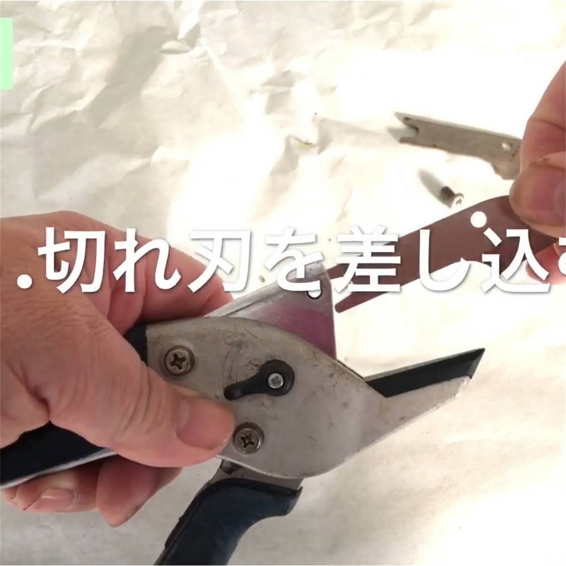 楽なんです剪定替え刃は、切れ味が鈍ってきた際にネジひとつで簡単に交換でき、常に鋭い切れ味を維持できる替刃です。「楽なんです剪定」は、ガーデニングを愛する方々におすすめの高品質な剪定鋏で、特に剪定作業を楽にしたい方にぴったりの園芸用品です。アンビル式の刃構造を採用しており、太い枝でもスムーズに切ることができ、スプリング(ばね)によって軽い力で作業ができるため、手首や指への負担が少なく腱鞘炎の予防にもなります。剪定の際には、左利きの方でも使いやすいようにデザインされ、どんな手の形にもフィットし快適に使用可能です。楽なんです剪定替え刃は、切れ味が悪くなった際に簡単に交換できるため、常に快適な剪定作業をサポートします。また、薔薇(バラ)や宿根草、果樹、コニファーなどさまざまな植物の剪定に対応し、オシャレな庭作りや寄せ植えの手入れもスムーズに行えます。玉鳥産業みきかじや村で製造されたこの替刃は、精度の高い刃物として知られ、オンラインショップやネット通販でも購入可能で、口コミでも高評価を得ている人気の売れ筋商品です。秋から冬にかけての剪定作業や、春夏の庭仕事にも便利な楽なんです剪定替刃で、快適なガーデニングを楽しんで!