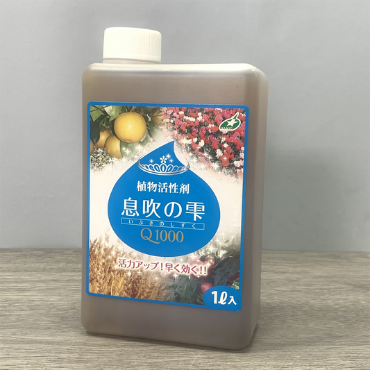 植物活性剤息吹の雫Q1000は、おすすめの植物活力剤の一つです。メネデール、HB-101、万田酵素、リキダスなどと同様に、これはプロ農家が使う「息吹LD」を家庭用に提供しています。野菜や観葉植物、花など、あらゆる植物に利用できます。使い方、いつ使用するか、その効果、液肥との違い、成分、頻度、水やりとの関連について詳しく説明しています。植物の成長や花の美しさを引き立て、人気のある植物活力剤です。家庭の庭や室内での植物ケアに役立つアイテムとして息吹の雫をお試しください