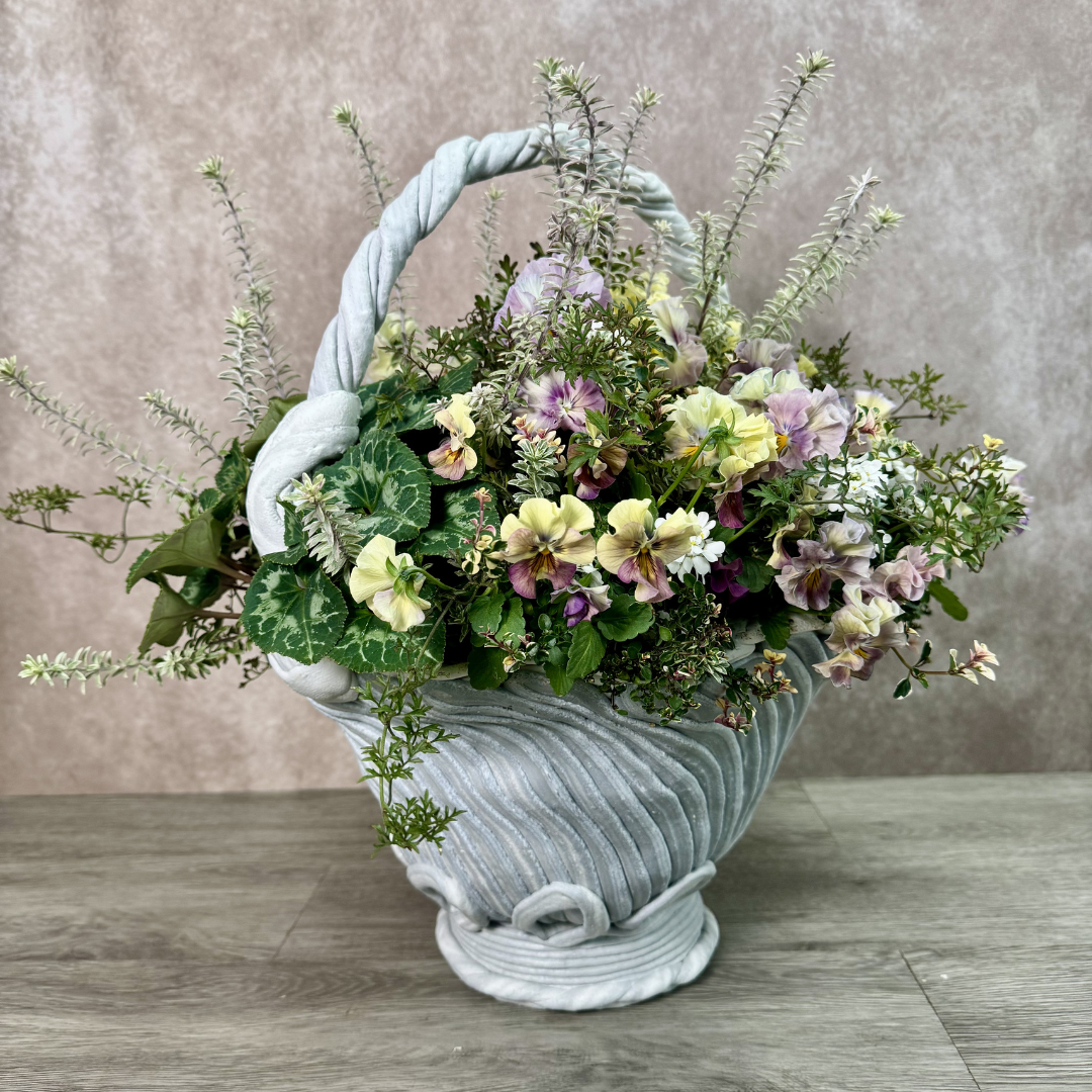 綱木紋鉢 ハイジ持ち手付き パンジー シクラメンを使った寄せ植えギャザリング作品例 はなそうにん オゼジュン先生のプランツギャザリング 寄せ植え用植木鉢