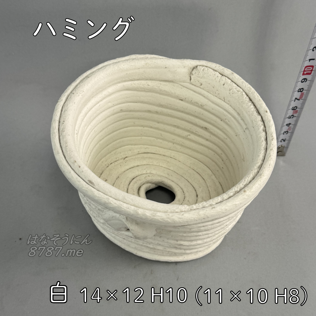 綱木紋鉢 ハミング 上から見た植え込み部 はなそうにん オゼジュン先生のプランツギャザリング 寄せ植え用植木鉢 多肉植物の寄せ植え