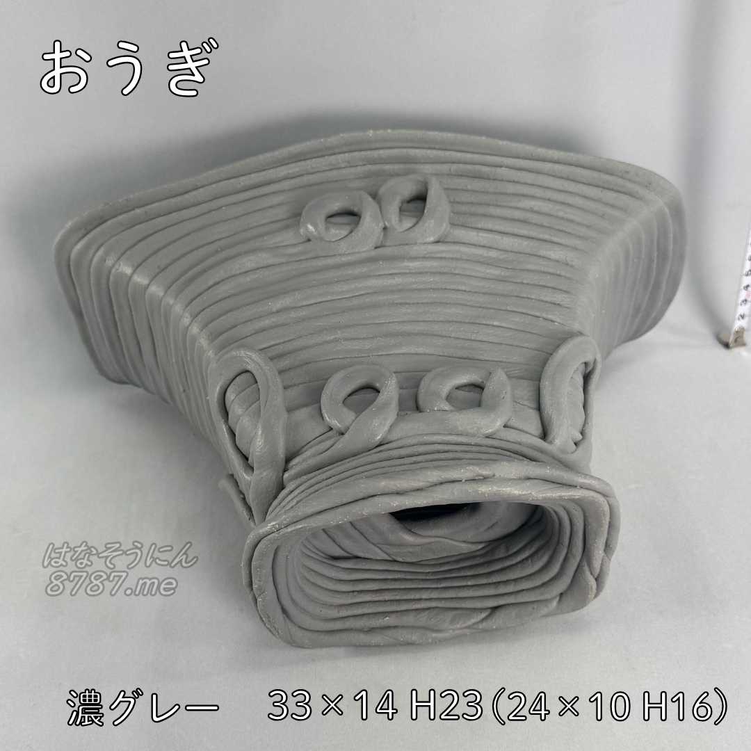 綱木紋鉢 おうぎ 下から はなそうにん オゼジュン先生のプランツギャザリング 寄せ植え用植木鉢