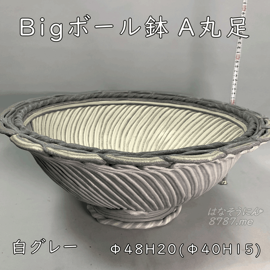 「綱木紋Bigボール鉢A丸足」は、イシダ工房で作られた通販用の寄せ植え鉢です。この大型鉢は、木粉、竹繊維、炭酸カルシウムで製作されており、割れず劣化せず、植物の成長に最適です。手作りのため、色や模様が一点一点異なり、入荷時期によって変化するため、まさに個性的な一点物の鉢です。植物愛好家に向けた販売アイテムとして、この鉢を通じて素晴らしい寄せ植えを楽しんでください。綱木紋 人気 上品 鉢植え 豪華 かわいい 推し オンラインショップ ゴージャス 通販サイト 綱木紋鉢 ECサイト 癒し オシャレ バスケット植え 鉢花 萌え 寄せ植えスタイル 豊富な種類 希少 販売店 綱木紋の鉢 つなきもん 販売 通販 おすすめ鉢 価格 購入 セール 安い