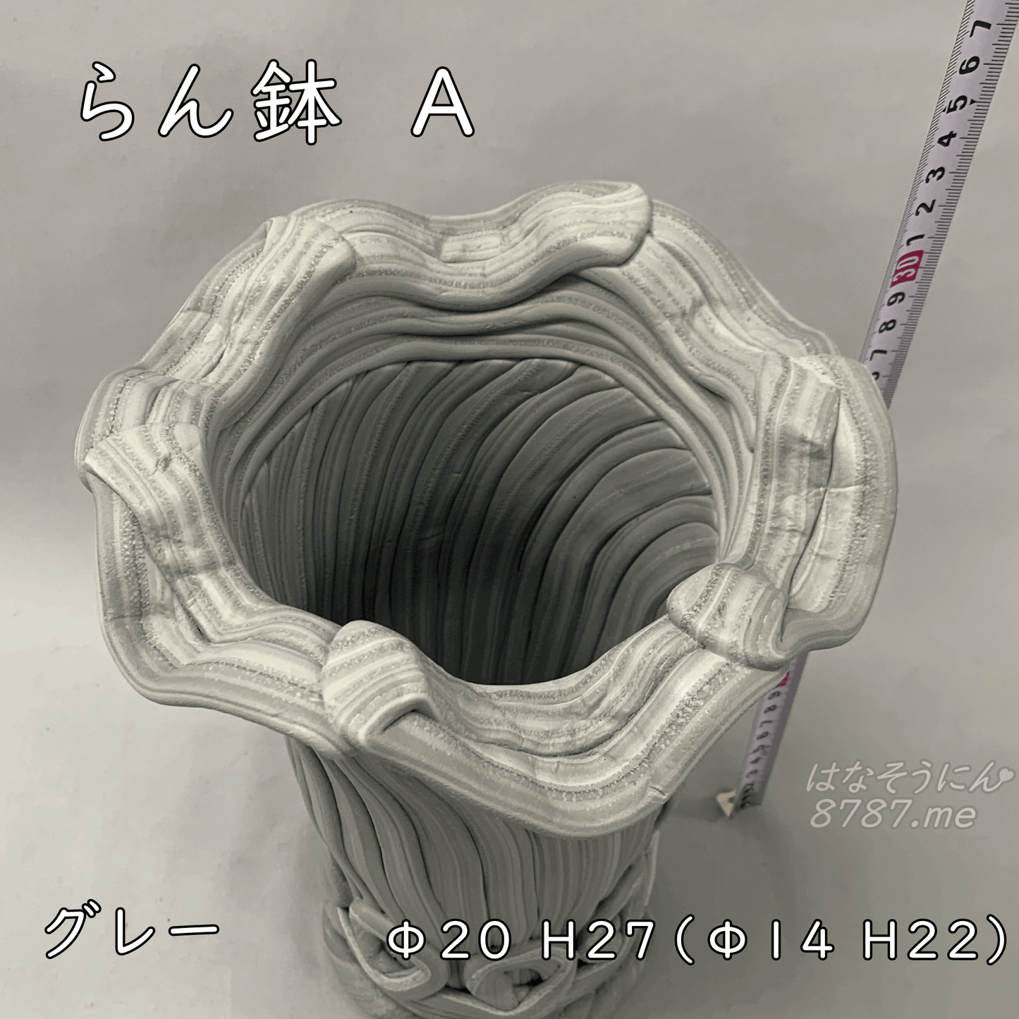 【綱木紋鉢つなきもん】らん鉢AΦ20H27