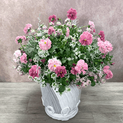 マウントスタイル　ギャザリング寄せ植え