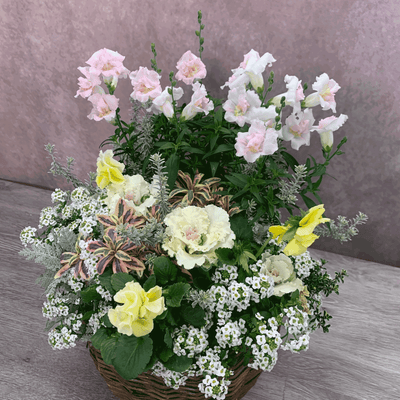 ナチュラルスタイル　ギャザリング寄せ植え