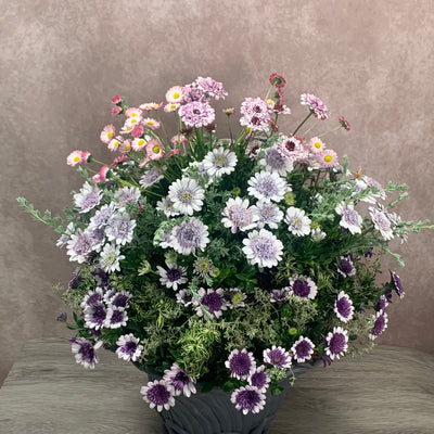 ウォールバスケット(ハンギングバスケット)　ギャザリング寄せ植え