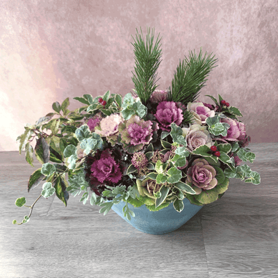 お正月　ギャザリング寄せ植え