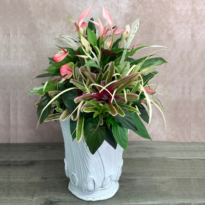 季節関係なく楽しめるギャザリング寄せ植え