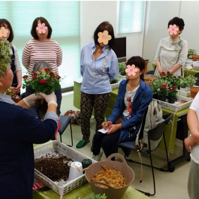 花創人はなそうにんガーデニング教室が138タワーパークで開催したプランツギャザリングワークショップで、赤いミニバラの寄せ植えを参加者へ実演しながら説明する様子。赤いミニバラ、ヘデラ、バロータ、ユーフォルビア ダイアモンドフロスト、カリブラコア ティフォシーをテラコッタ風プラ鉢に植え込み、企業・団体、地域イベント、施設での寄せ植えワークショップ開催事例として紹介しています。