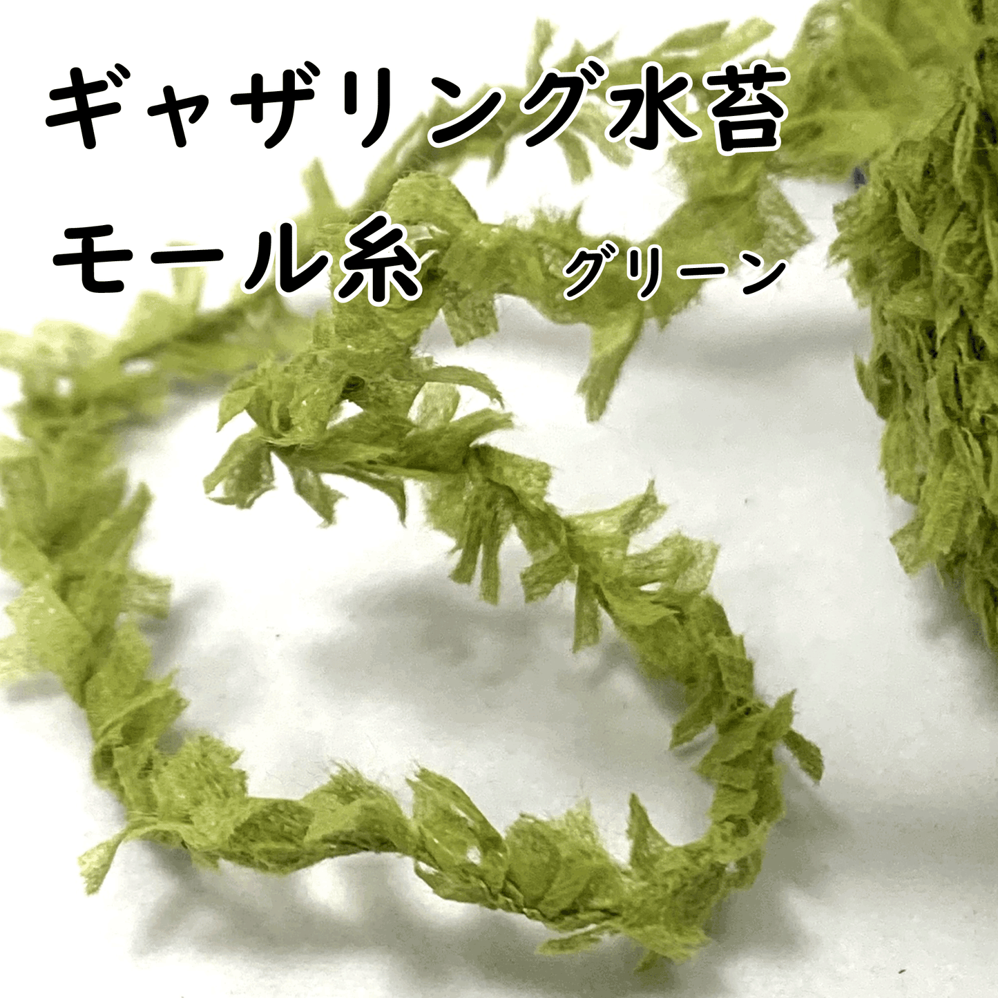 グリーンのギャザリング水苔モール糸をクローズアップした画像です。プランツギャザリングにおいて必須のアイテムで、この糸はギャザモスとも称され、一般的なアート水苔とは異なる特性を持っています。ホームセンターでは販売されておらず、一般社団法人JAPAN plants gathering society（JPGS）会員でのみ取り扱われている専用資材です。ユニットをまとめる時や、ルーティブーケ、苔玉、多肉植物の寄せ植えなどに使えます。