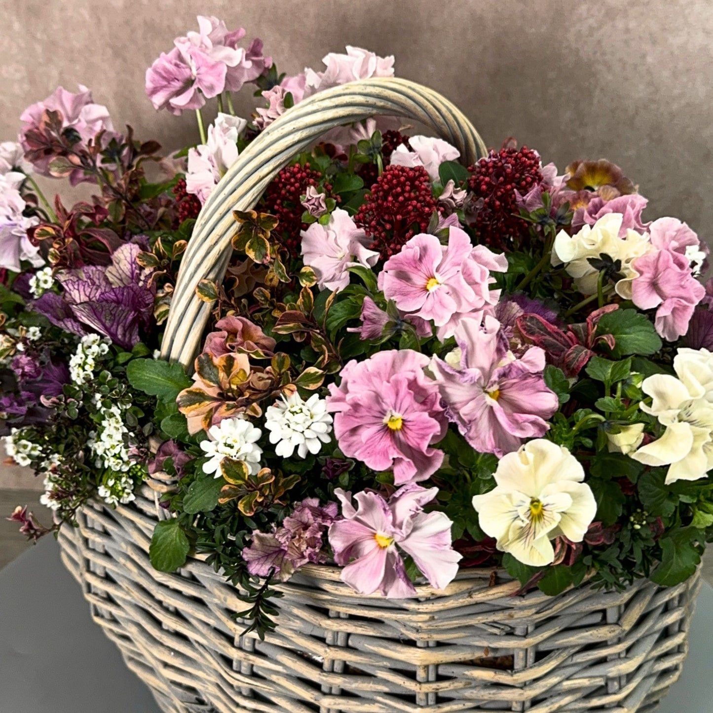 花創人のオーダーメイド寄せ植えを近くから見たクローズアップ。ピンクのパンジーやビオラ、赤い実のように見えるスキミア ルベラ、白いイベリス、葉牡丹ベナフリル、コプロスマなど、花とリーフの色合わせや植物選びが楽しめる春のプランツギャザリング作品。全国発送できる一点もののかご寄せ植えとして、玄関やギフトにもおすすめ。