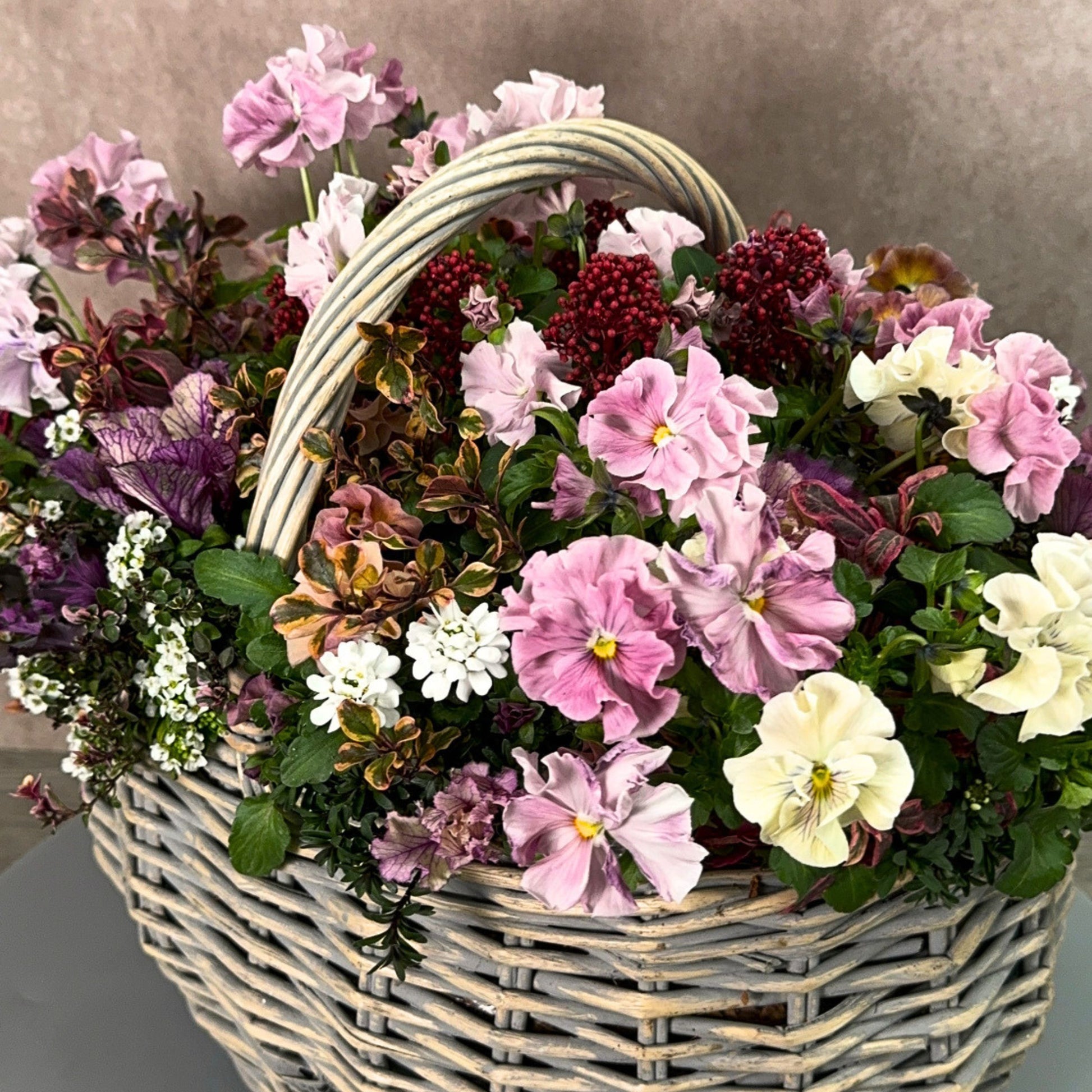 花創人のオーダーメイド寄せ植えを近くから見たクローズアップ。ピンクのパンジーやビオラ、赤い実のように見えるスキミア ルベラ、白いイベリス、葉牡丹ベナフリル、コプロスマなど、花とリーフの色合わせや植物選びが楽しめる春のプランツギャザリング作品。全国発送できる一点もののかご寄せ植えとして、玄関やギフトにもおすすめ。