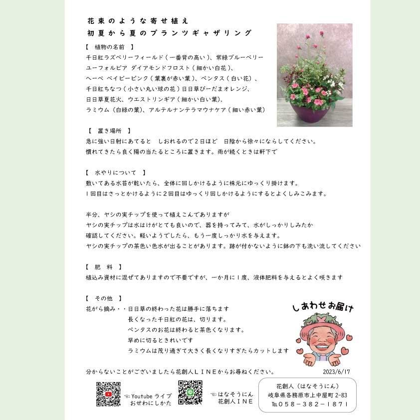 定年祝い・送迎会の花束代わりの寄せ植え ギフトにはお世話のしかたを詳しく書いた説明書が付きます はなそうにん オゼジュン先生のプランツギャザリング 寄せ植え