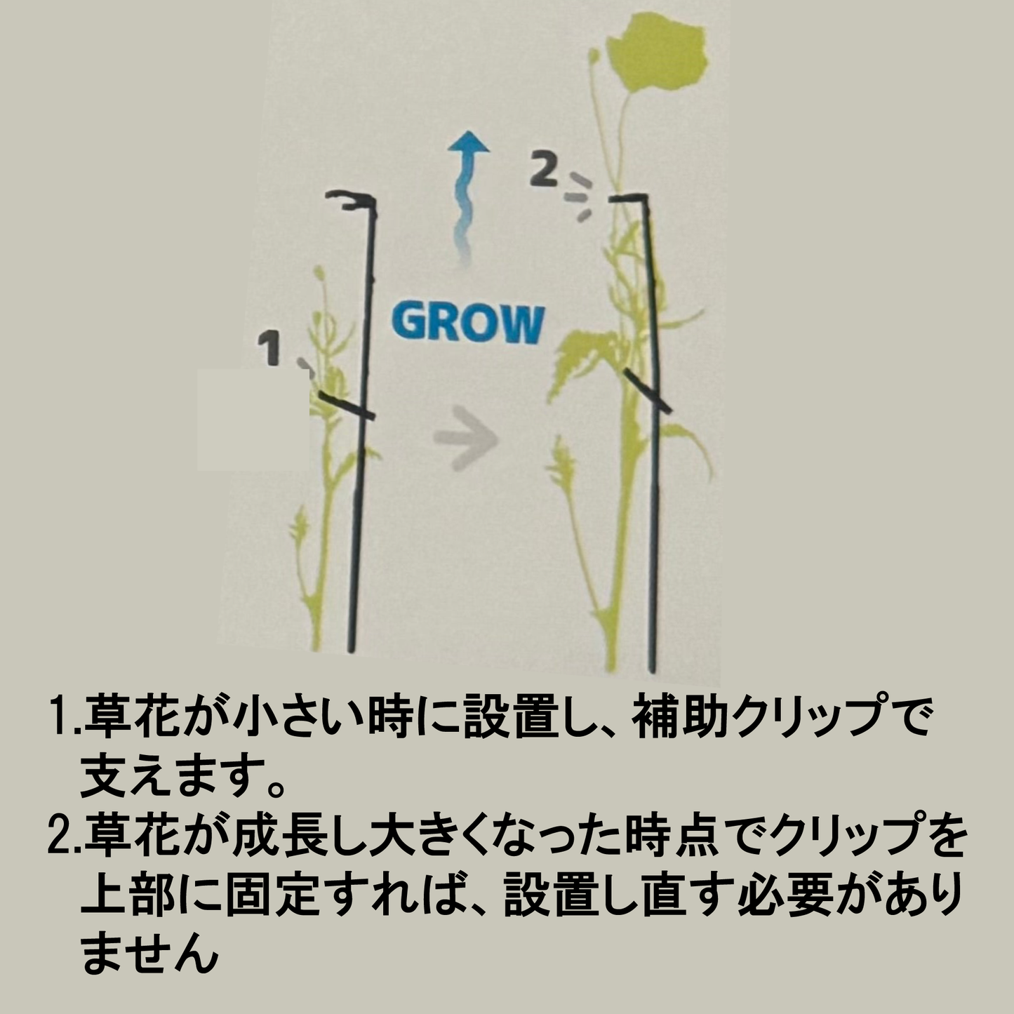 折れやすいパンジー ドラキュラの花を支える！【植物を一輪支える 凛】8本入り野菜苗ラナンキュラスラックスに