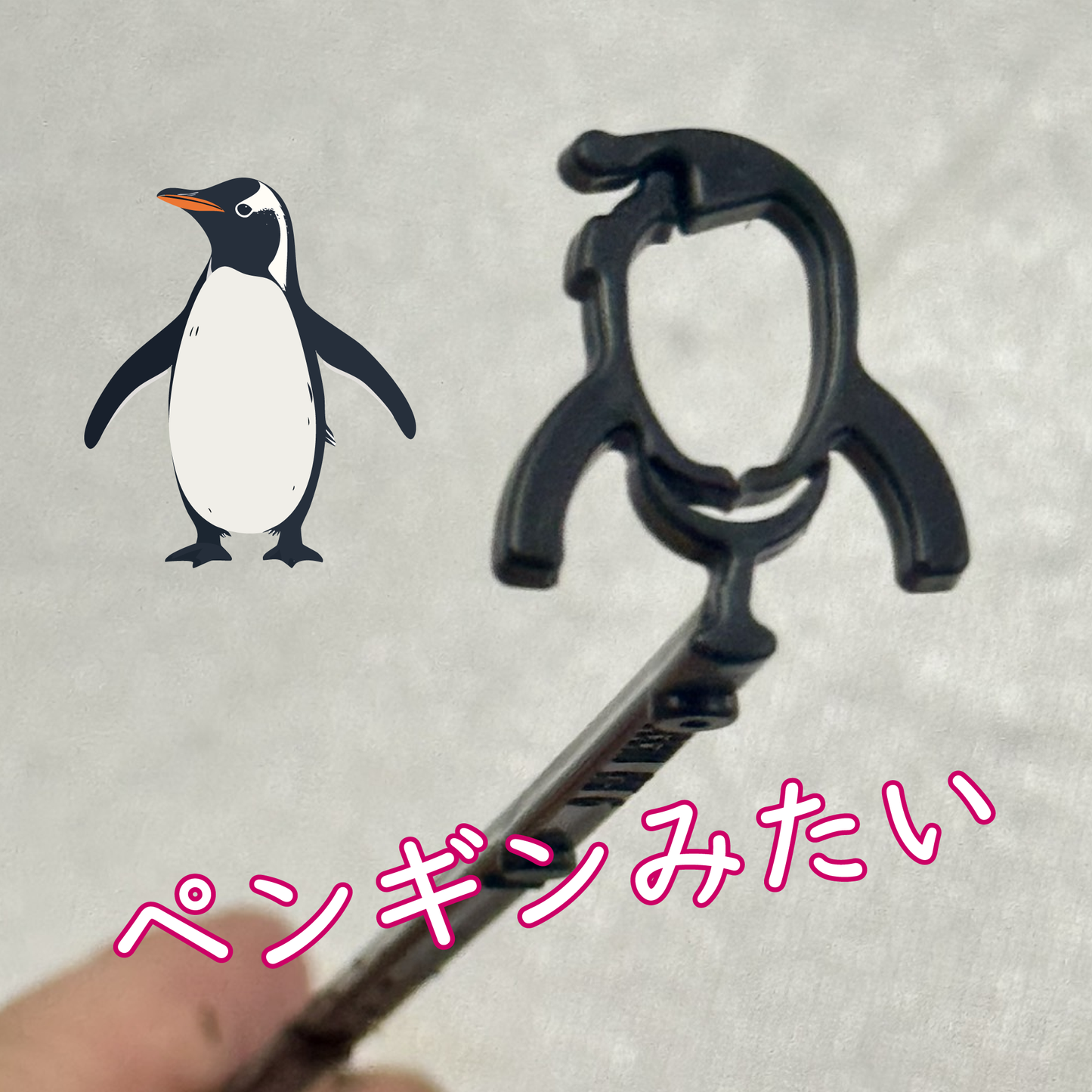 折れやすいパンジー ドラキュラの花を支える！【植物を一輪支える 凛】8本入り野菜苗ラナンキュラスラックスに