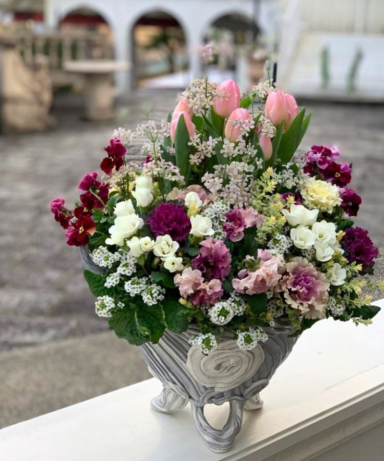 チューリップ、サクラソウ、ジュリアン、パンジー、アリッサムを使った春のギャザリング寄せ植え。花創人はなそうにんギャザリング専門店のオーダーカスタム作品例で、上品なグレーの綱木紋風の鉢に、ピンク・白・ワイン色の花を花束のように組み合わせています。玄関を彩るウェルカムフラワー、開店祝い、新築祝い、誕生日ギフト、季節の花を使ったオーダーメイド寄せ植えを探している方に向けた、プランツギャザリングの制作イメージです。