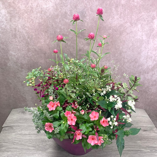 定年祝い・送迎会の花束代わりの寄せ植え 日日草 千日紅 あまり手入れがいらない丈夫なお花で華やかに長く咲いて 記念になるものが入っていて持ち帰りやすい 夏のプランツギャザリング 正面から はなそうにん オゼジュン先生のプランツギャザリング 寄せ植え