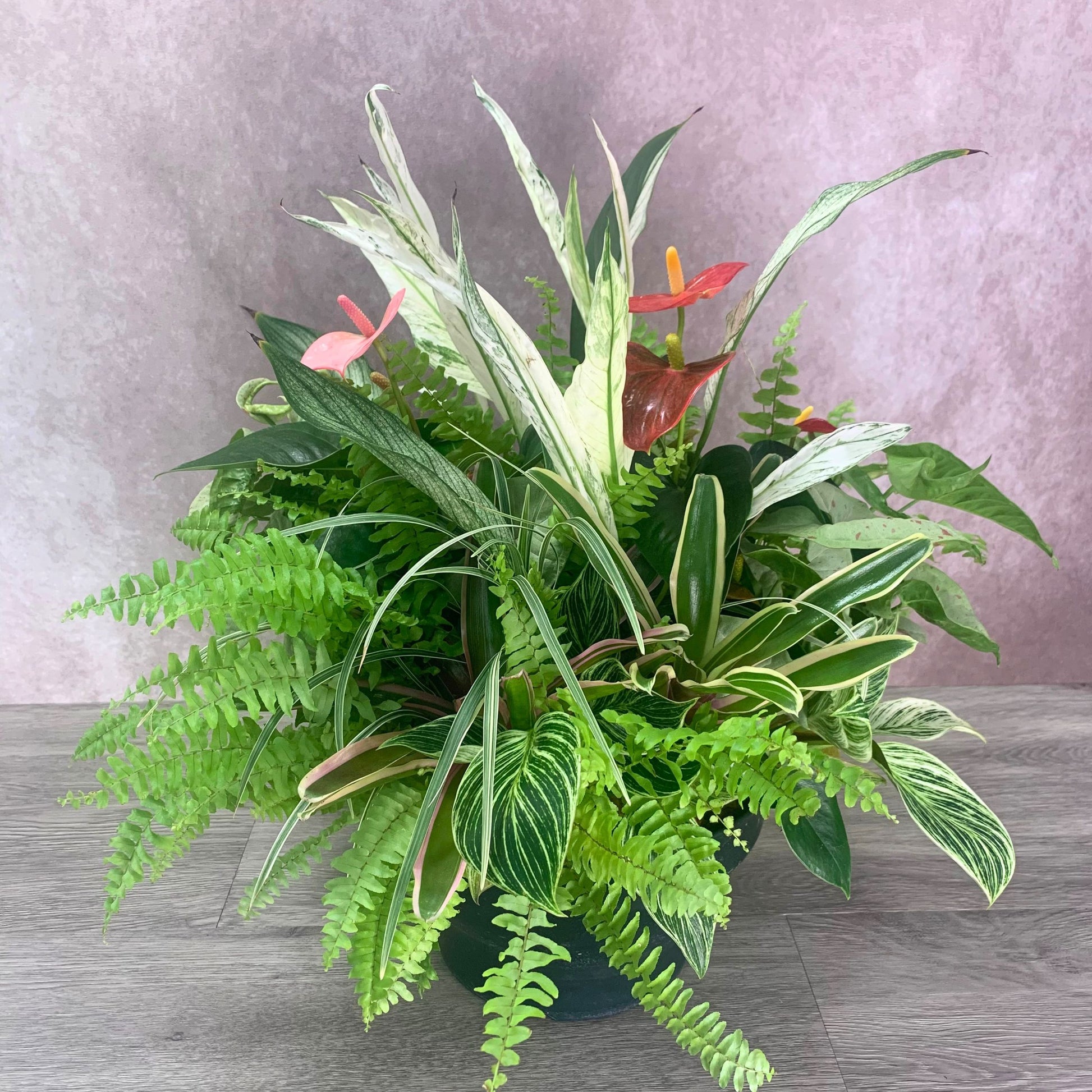 マンションの玄関に飾る観葉植物のギャザリング寄せ植えでフィロデンドロンバーキン・シンゴニウム・ネフロレピス・アスプレニウムを使ったグリーン豊かな室内インテリア作品ギャザリング寄せ植え花創人ガーデニング教室