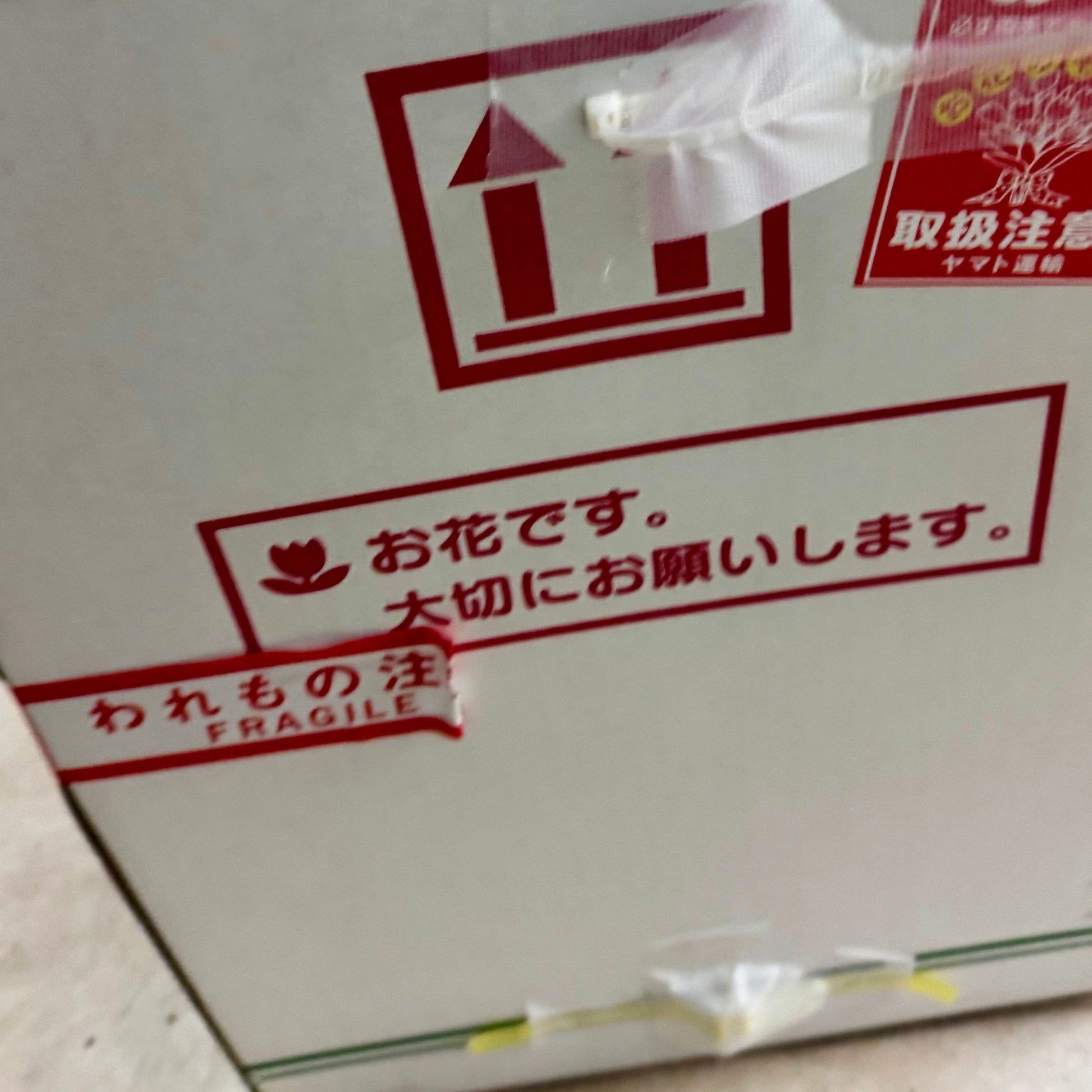 発送用の箱のテープ処理の様子、開封時にテープをスムーズにはがしていただけるよう端を折って工夫された丁寧な梱包と鉢の固定で安心して受け取れるギャザリング寄せ植え 花創人ガーデニング教室