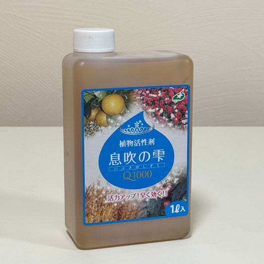 花創人ガーデニング教室おすすめの植物活性剤「息吹の雫Q1000」1L。植物本来の力を引き出し、発芽・発根や健全な生育をサポートする大容量の植物用活力剤です。水で希釈して草花、花苗、野菜、果樹、観葉植物、多肉植物など幅広い植物に使用できます。岐阜県各務原市の花創人で使用・販売しています。