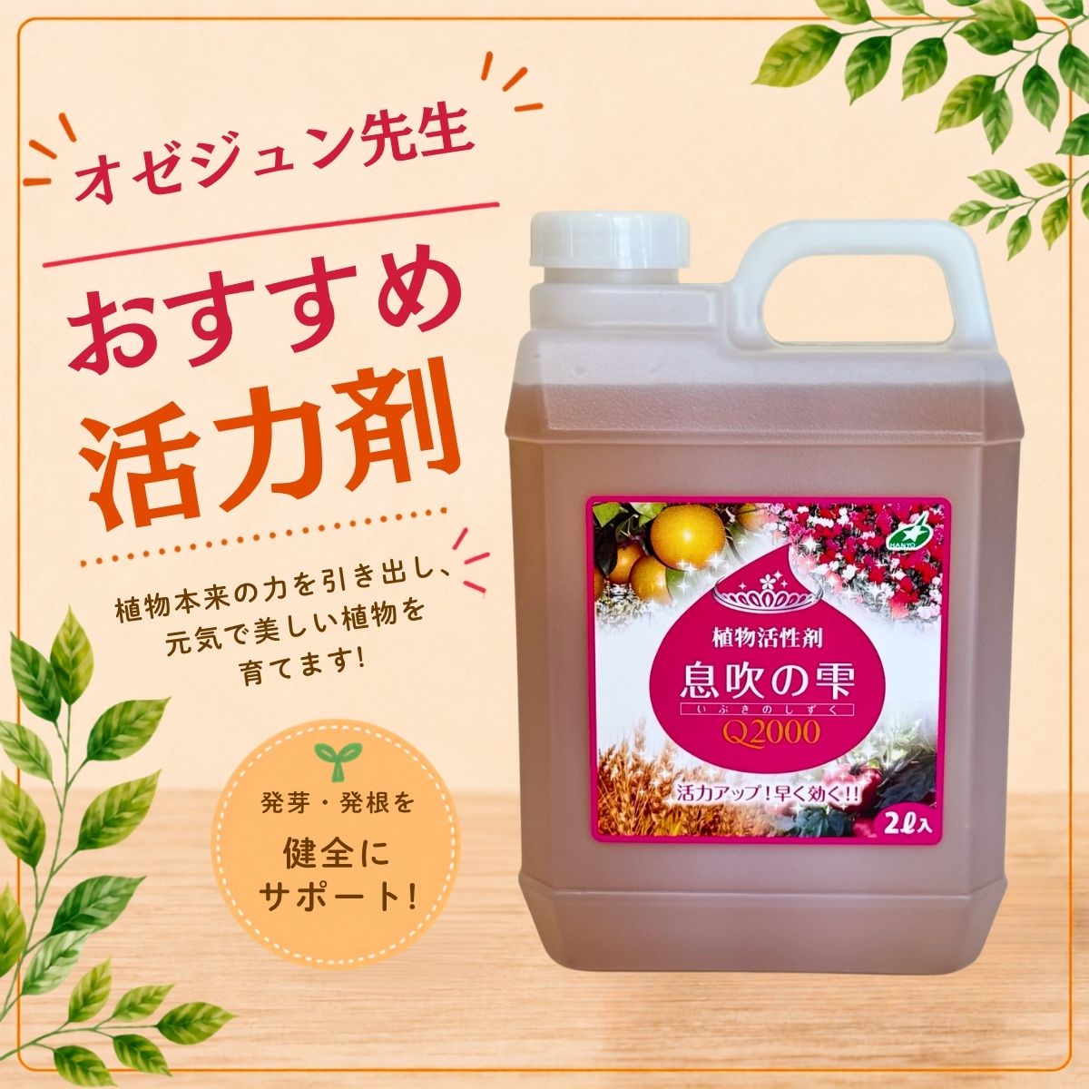 花創人がおすすめする植物活性剤「息吹の雫Q2000」2L。発芽・発根を健全に促し、植物本来の力を引き出して色ツヤ・活力・鮮度の向上をサポートします。水稲、野菜、花卉、果樹、草花、観葉植物、多肉植物など幅広く使える大容量の植物活力剤です。