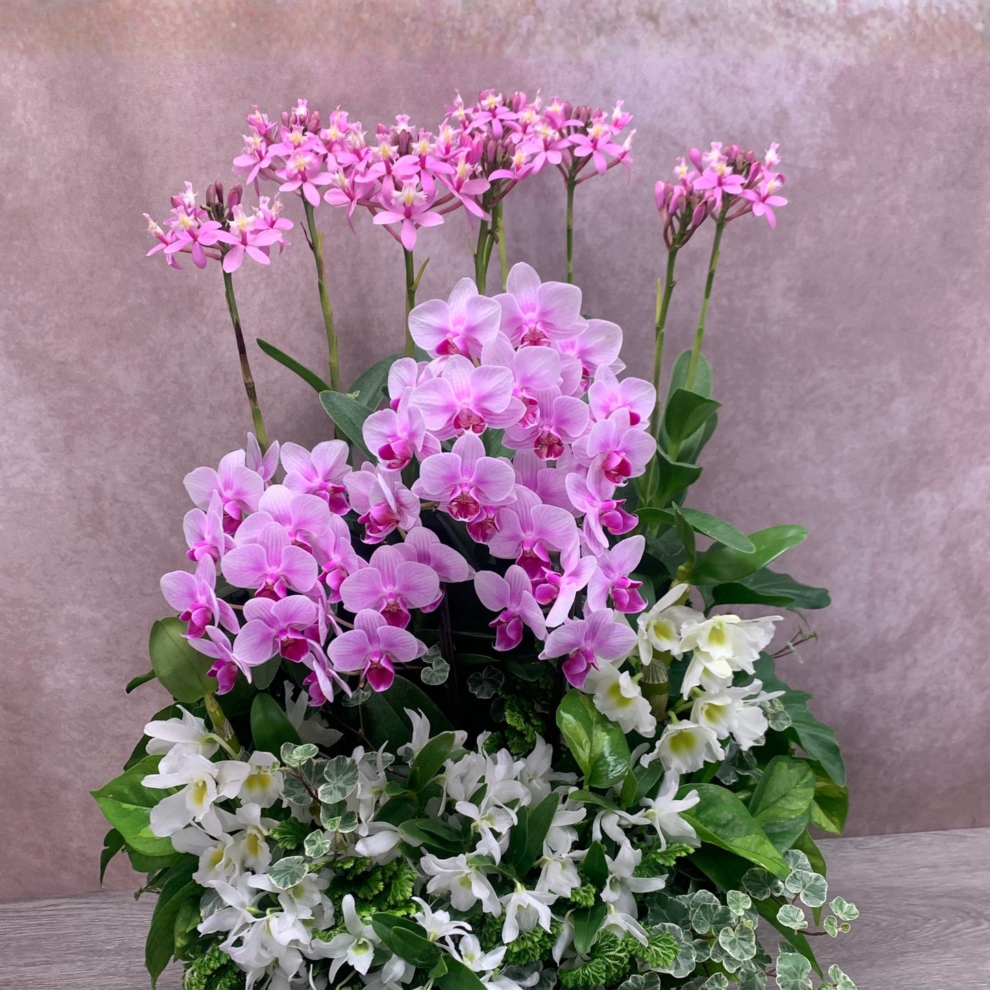 胡蝶蘭・エピデンドラム・デンドロビウムの花の美しさが際立つ豪華なランの寄せ植えギャザリング 花創人ガーデニング教室 ギフト