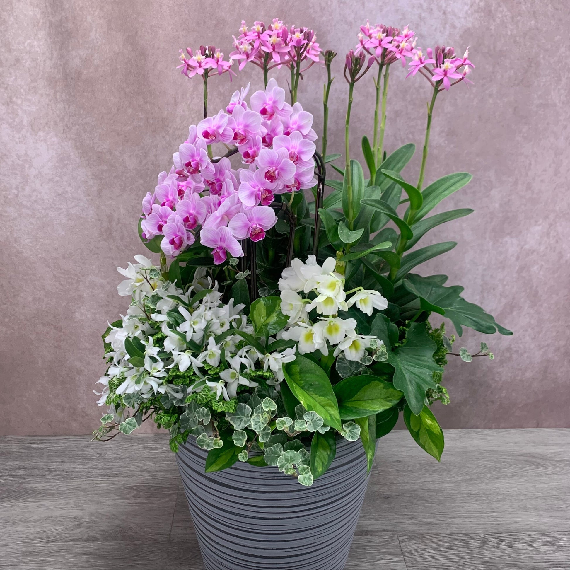 横から見た立体感のある胡蝶蘭・エピデンドラム・デンドロビウムの豪華なランの寄せ植えギャザリング 花創人ガーデニング教室 ギフト