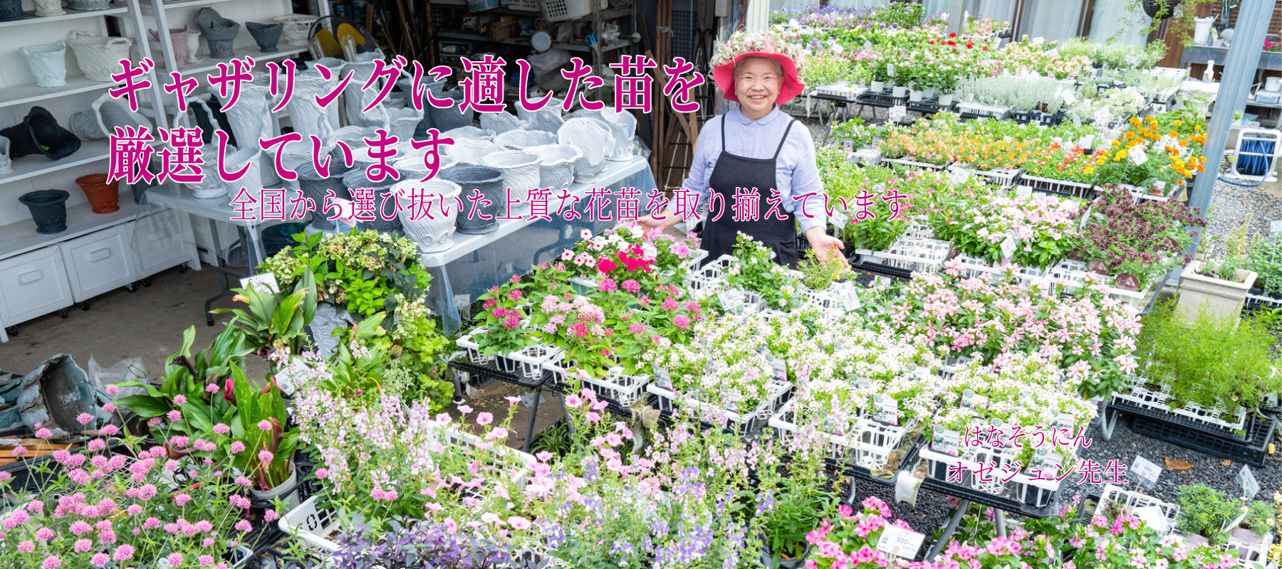 たくさんの花苗の中からギャザリングに合うものを講師が選んでいる様子 花創人ガーデニング教室 オゼジュン先生