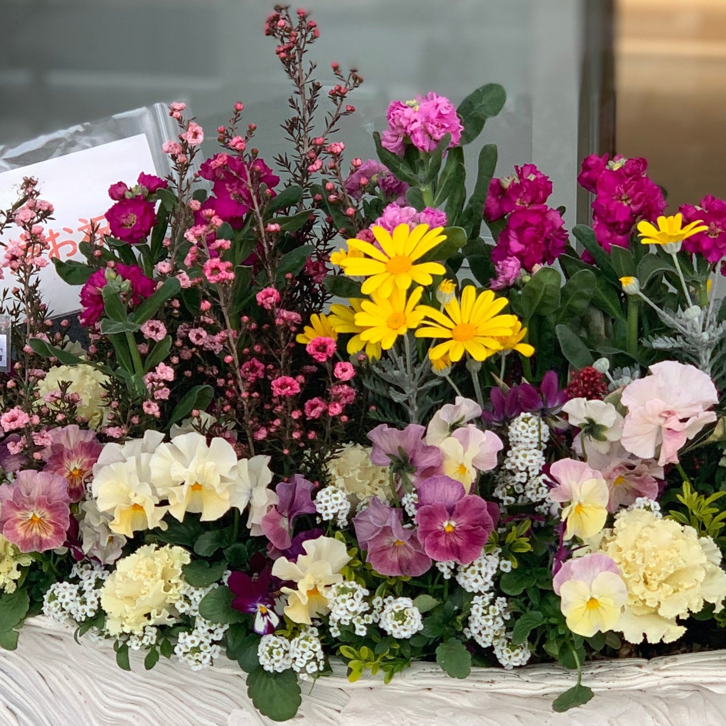 花の美しさが際立つギャザリング寄せ植えのクローズアップ 花創人ガーデニング教室
