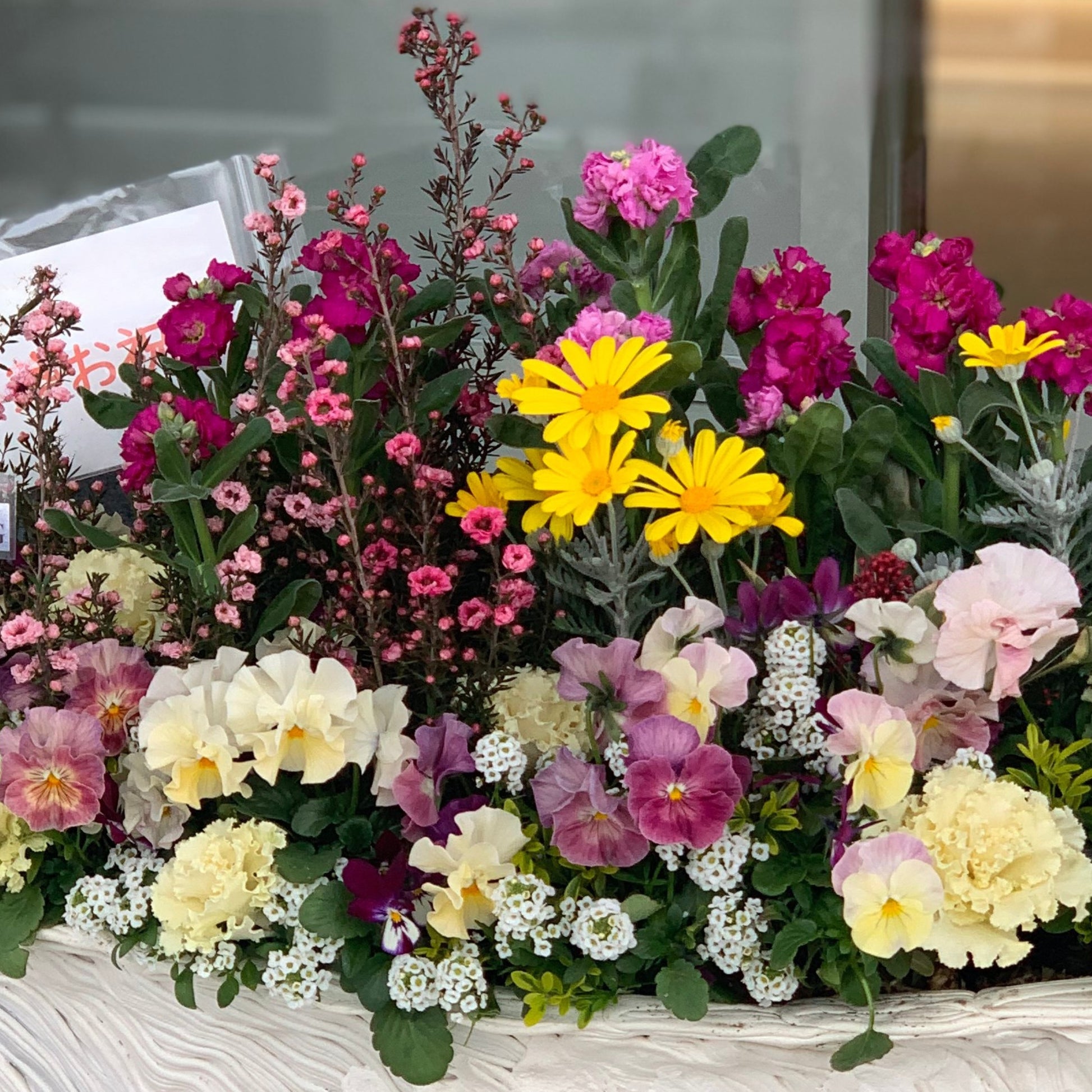花の美しさが際立つギャザリング寄せ植えのクローズアップ 花創人ガーデニング教室