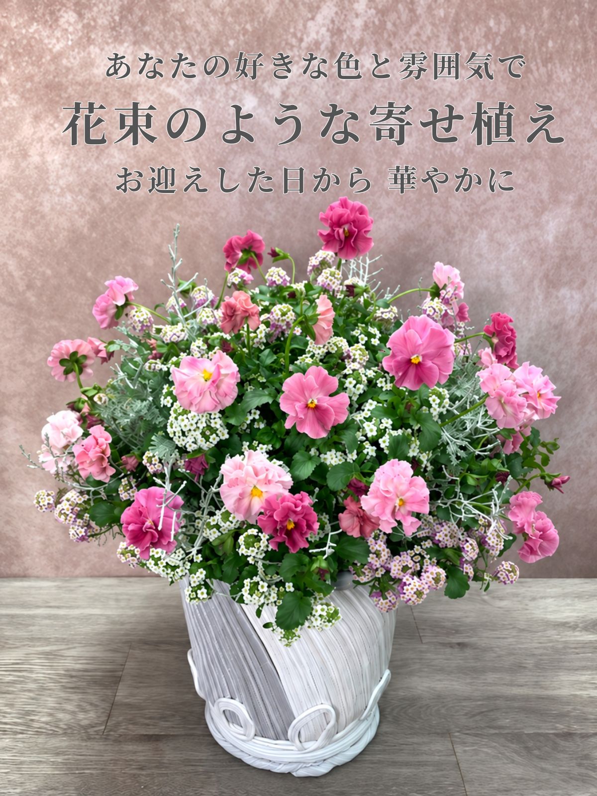 花創人のオーダーメイド寄せ植え。ピンクの濃淡とフリルの花びらが華やかなパンジー マリーリーンに、スイートアリッサムとシルバーリーフのカロケファルス プラチーナを組み合わせた、花束のようなプランツギャザリング作品です。白い綱木紋丸鉢Lが花色を引き立て、玄関のウェルカムフラワーや店舗・サロンの装飾、お祝いの贈りものにも似合う、大人かわいい雰囲気に。お好きな色や飾る場所に合わせて相談できるギャザリングオーダーは全国発送に対応しています。掲載の綱木紋丸鉢Lは完売のため、別の器でのご相談となります。