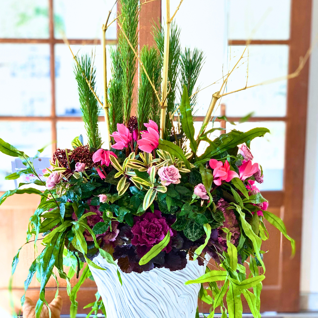 レストランのエントランスにお正月の寄せ植えギャザリング　ハボタン、シクラメン チモ、スキミア、シダ クロコダイルファン若松を使って華やかなお正月ディスプレイ　後ろ　はなそうにん オゼジュン先生のプランツギャザリング 寄せ植え