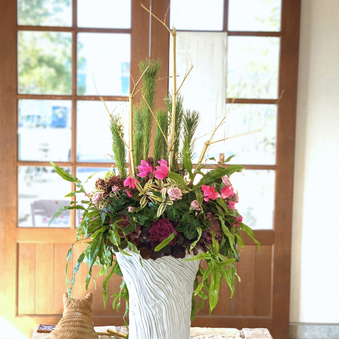 レストランのエントランスにお正月の寄せ植えギャザリング　ハボタン、シクラメン チモ、スキミア、シダ クロコダイルファン若松を使って華やかなお正月ディスプレイ　後ろ　はなそうにん オゼジュン先生のプランツギャザリング 寄せ植え